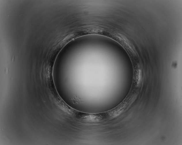 X0000098180326200804241227