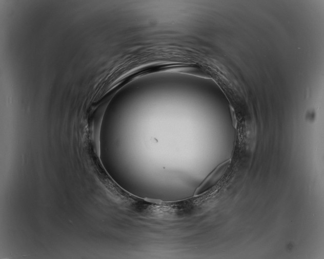 X0000098180327200804241227