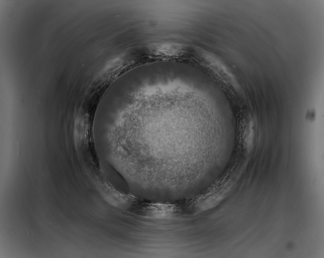 X0000098180328200804241227