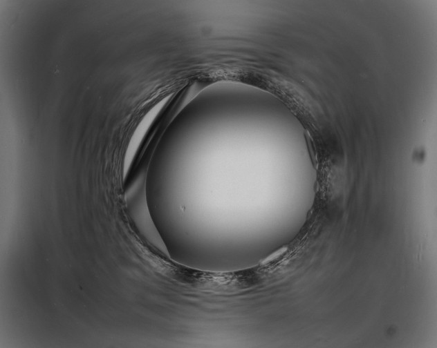 X0000098180329200804241227