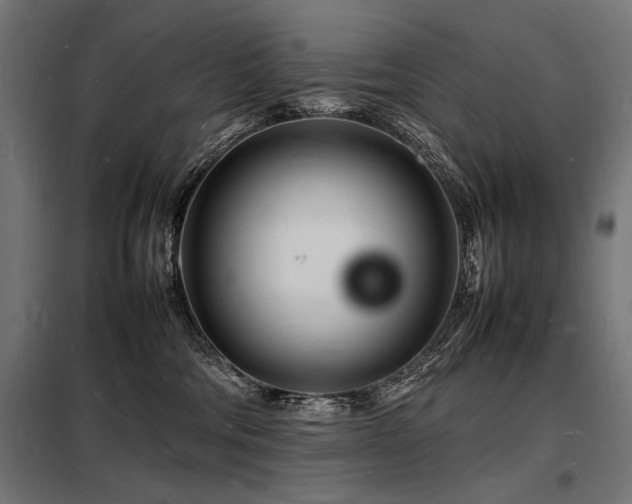 X0000098180330200804241227