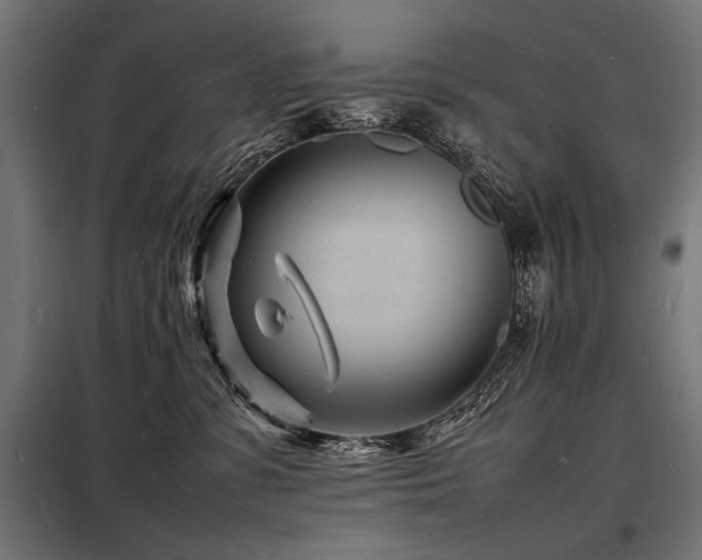 X0000098180331200804241227