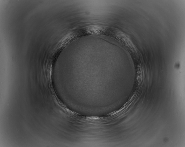 X0000098180332200804241227