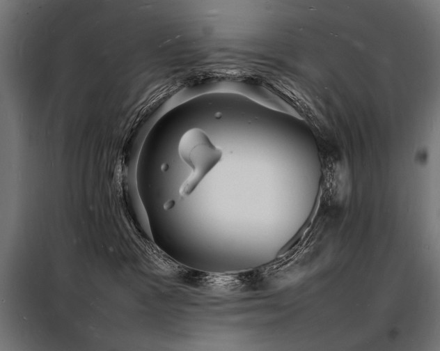 X0000098180333200804241227