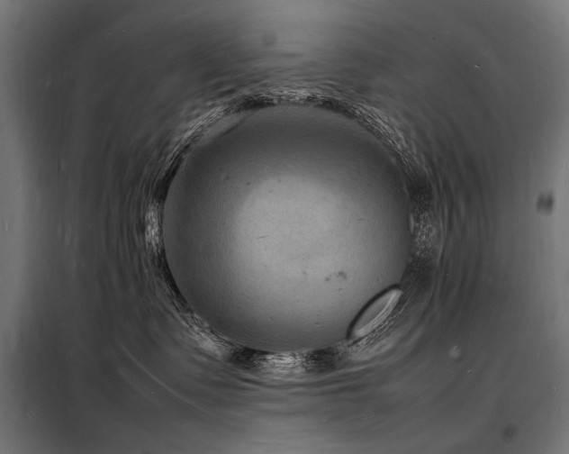 X0000098180335200804241227