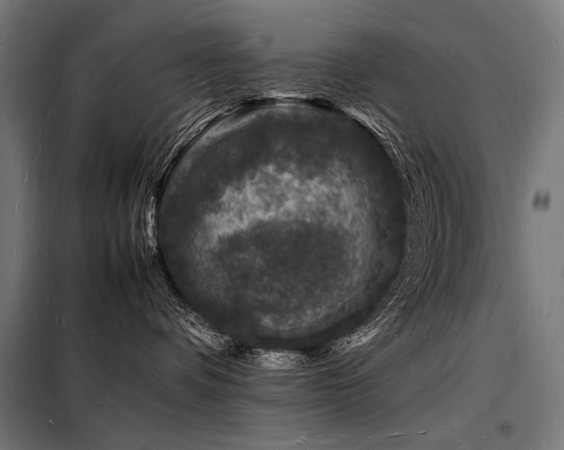 X0000098180336200804241227