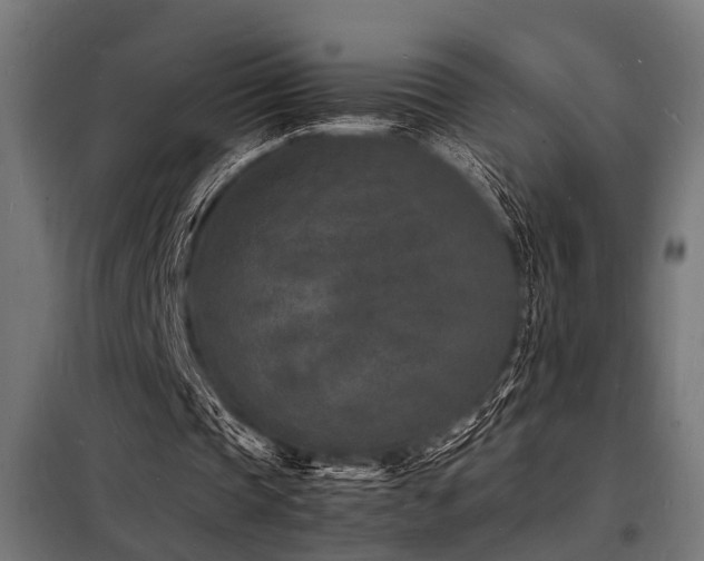 X0000098180337200804241226