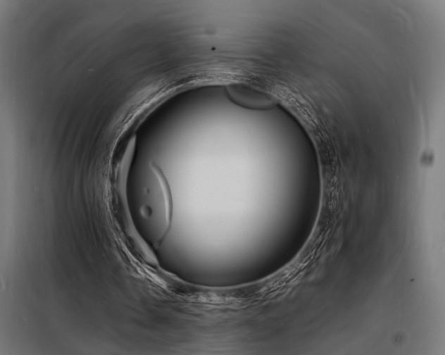X0000098180338200804241226