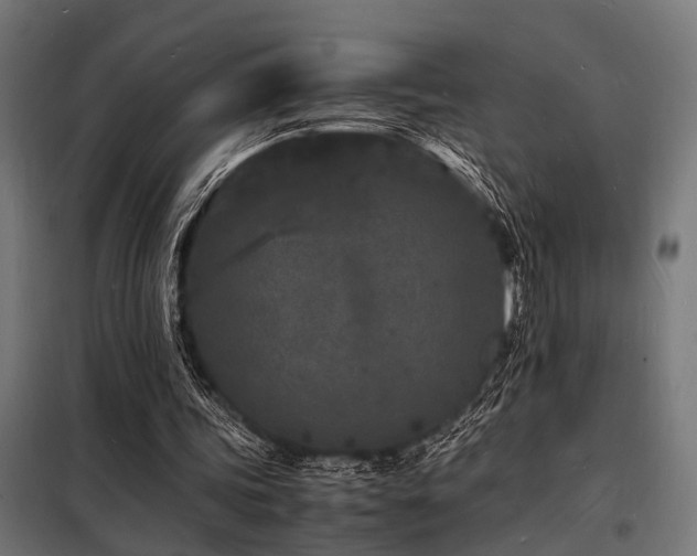 X0000098180339200804241226