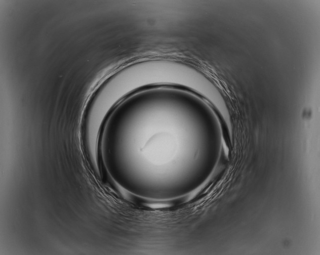 X0000098180340200804241226