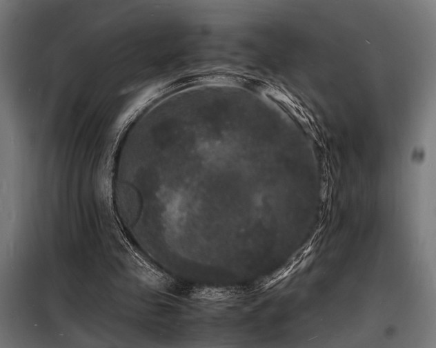 X0000098180341200804241226
