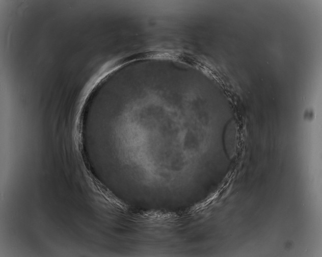 X0000098180343200804241226