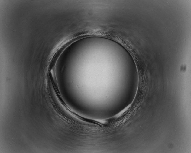 X0000098180344200804241226