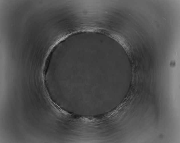 X0000098180346200804241226