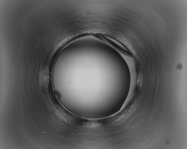 X0000098180348200804241226