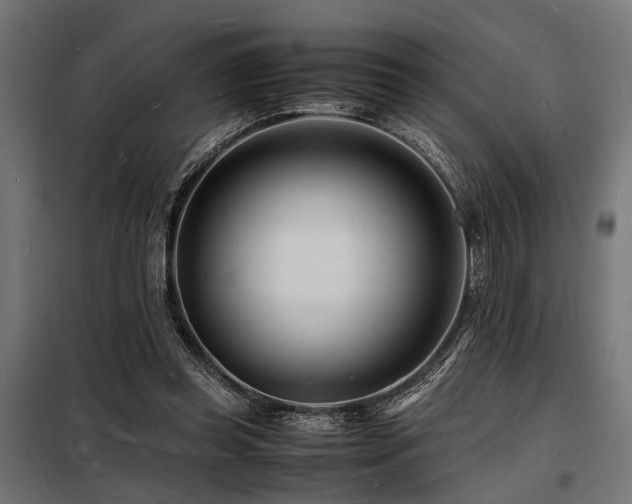 X0000098180349200804241226