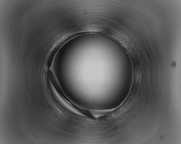 X0000098180350200804241226