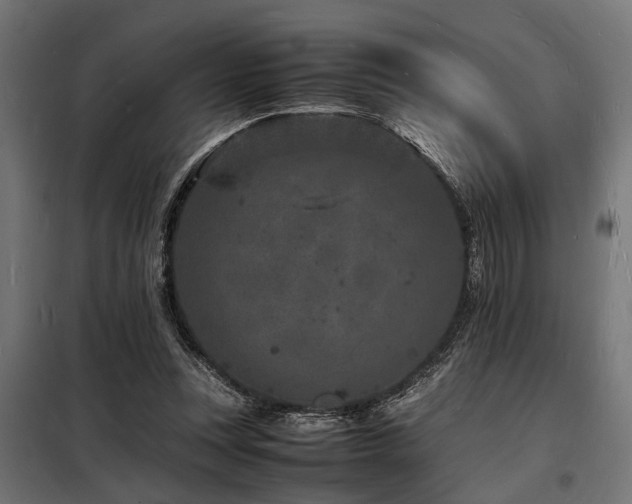 X0000098180351200804241227