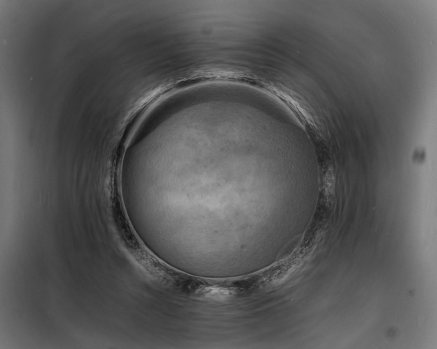 X0000098180352200804241227