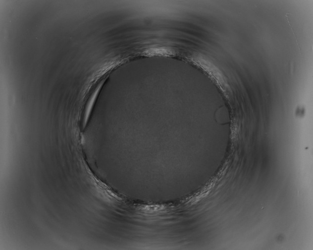 X0000098180353200804241227