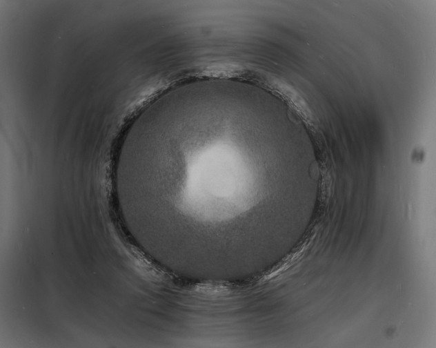 X0000098180354200804241227