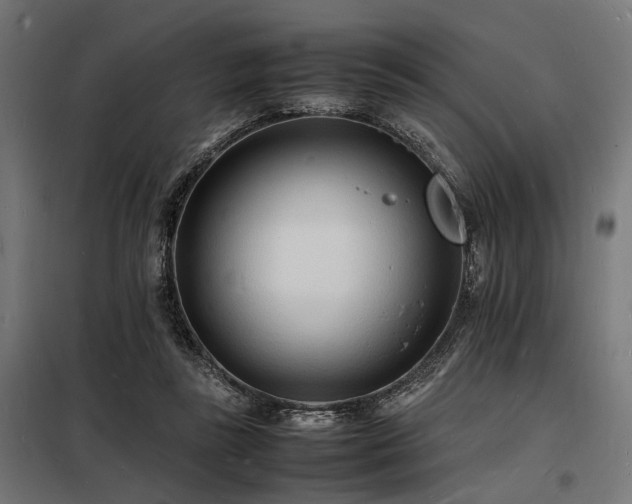 X0000098180355200804241227