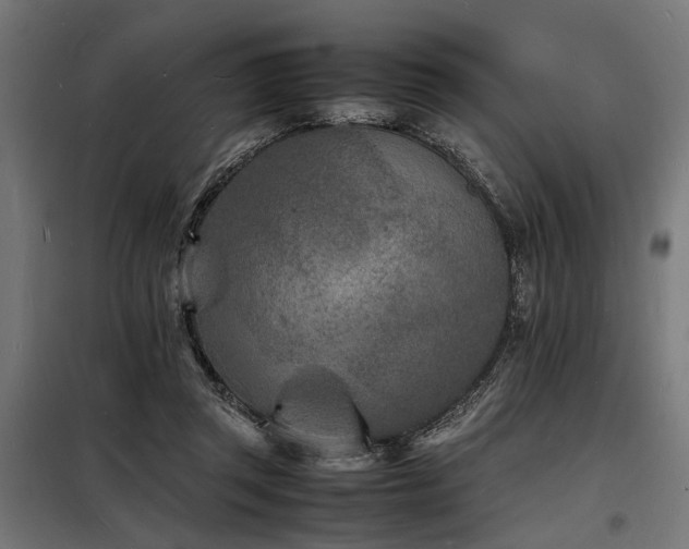 X0000098180357200804241227