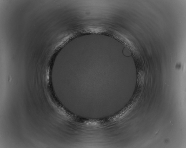 X0000098180358200804241227