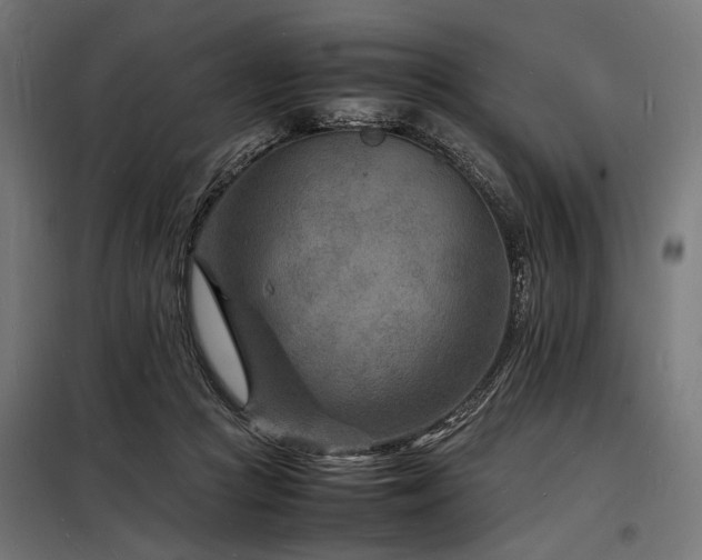 X0000098180361200804241227