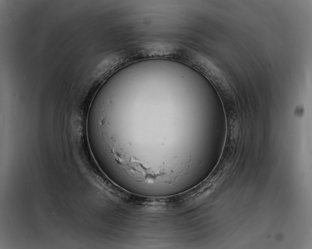 X0000098180362200804241227