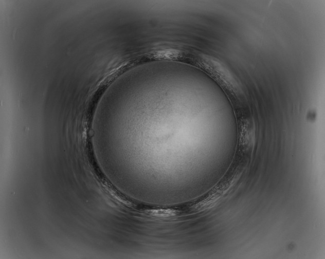 X0000098180363200804241227