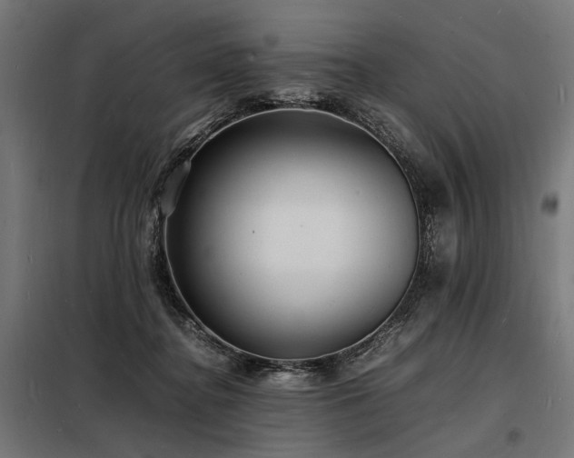 X0000098180364200804241227