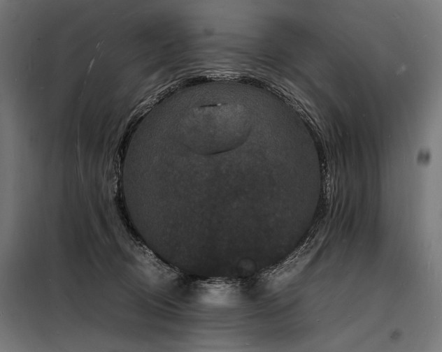 X0000098180370200804241227