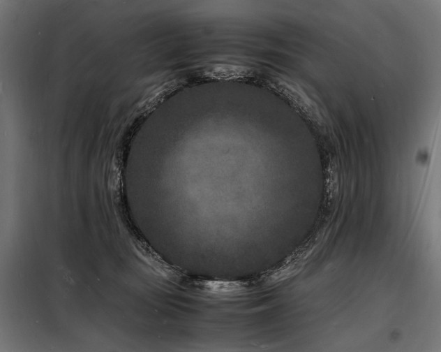 X0000098180371200804241227