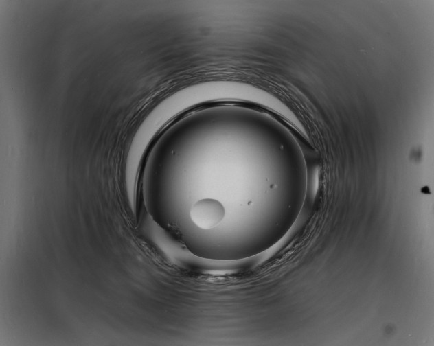 X0000098180372200804241227