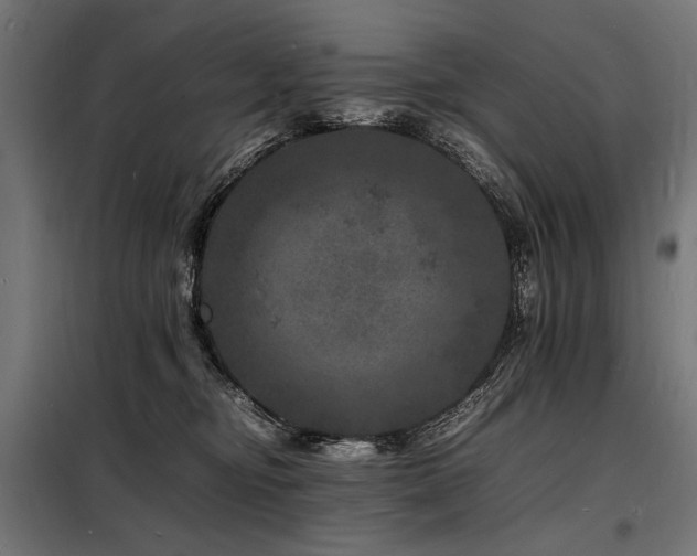 X0000098180374200804241227