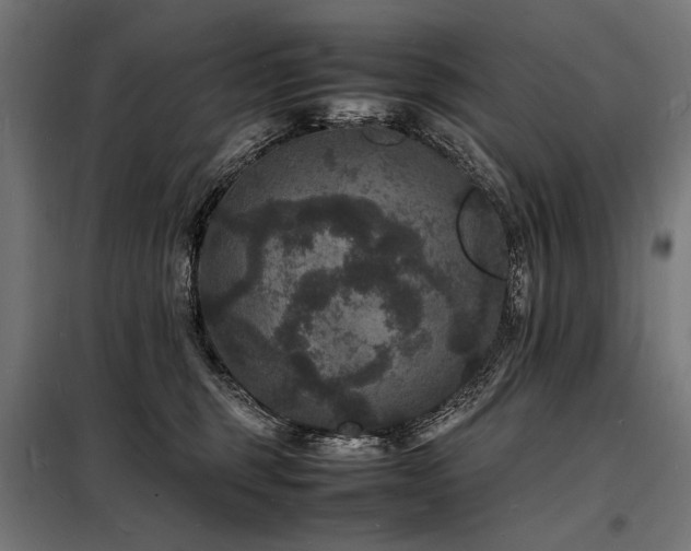 X0000098180375200804241227