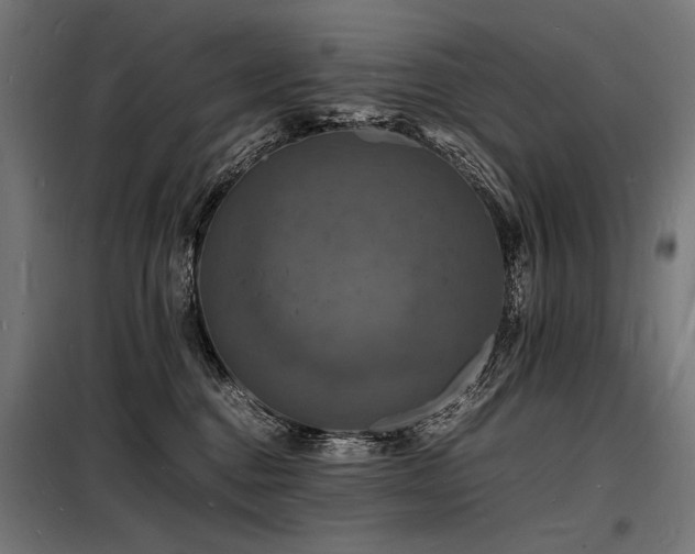X0000098180376200804241227