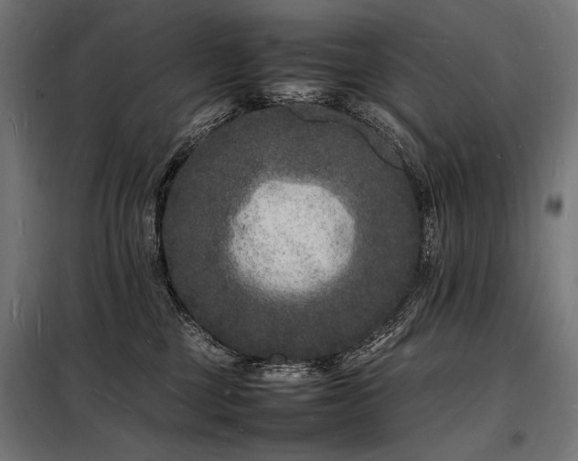 X0000098180377200804241227
