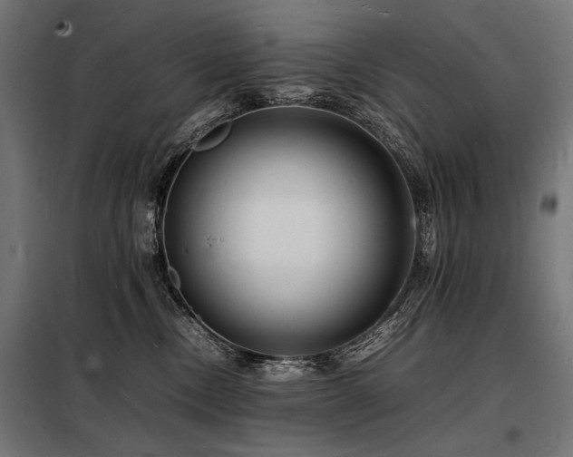 X0000098180378200804241227
