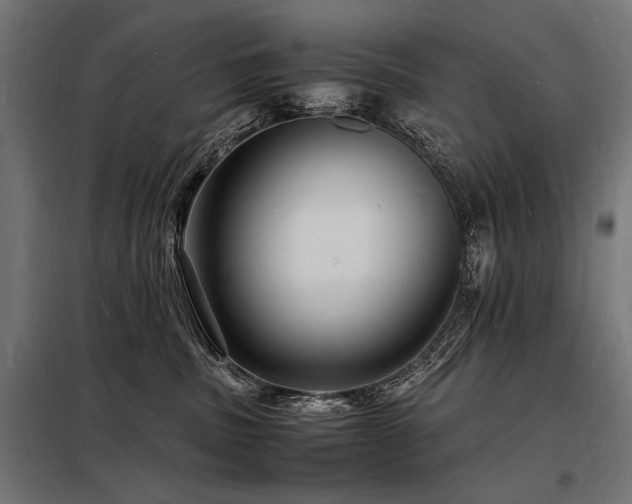 X0000098180379200804241227