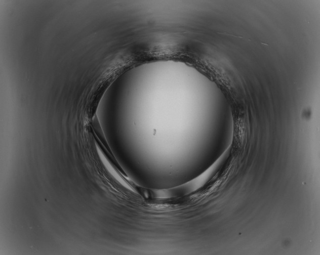 X0000098180380200804241227