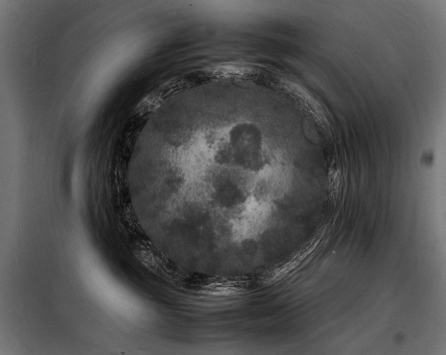 X0000098180381200804241227