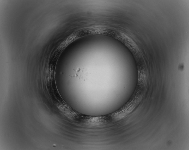 X0000098180382200804241227