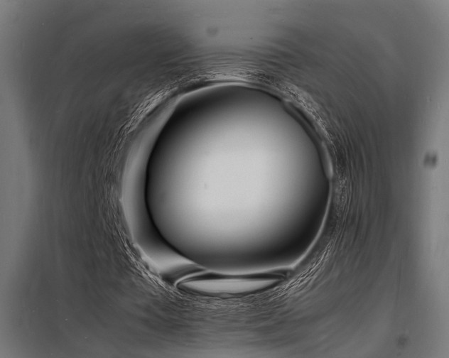 X0000098180385200804241226