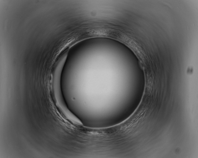 X0000098180386200804241226
