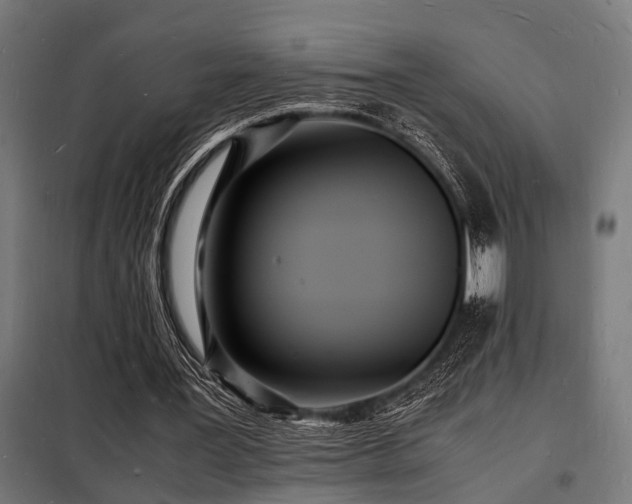 X0000098180387200804241226