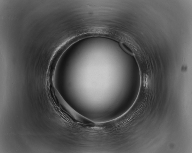 X0000098180388200804241226