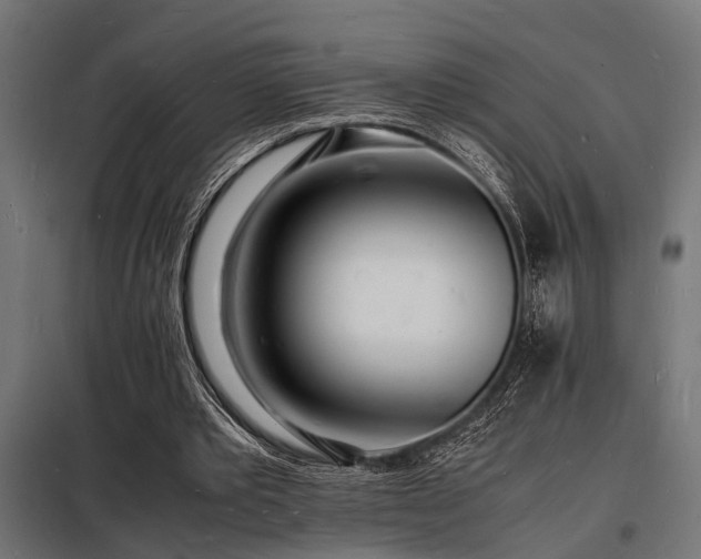 X0000098180389200804241226