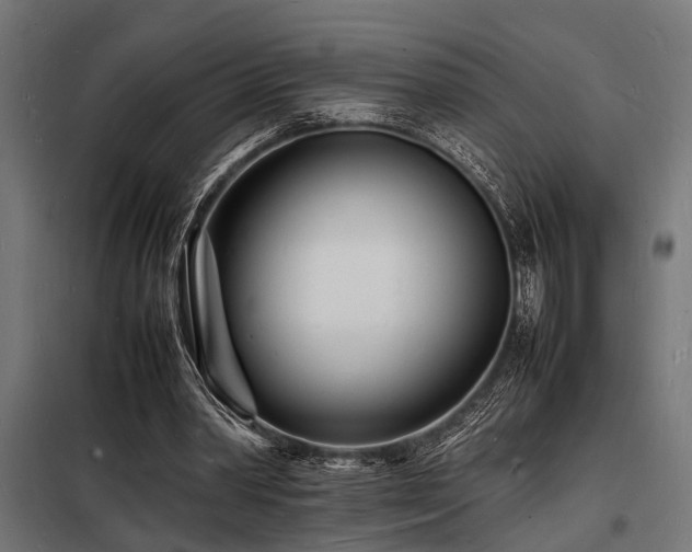 X0000098180390200804241226